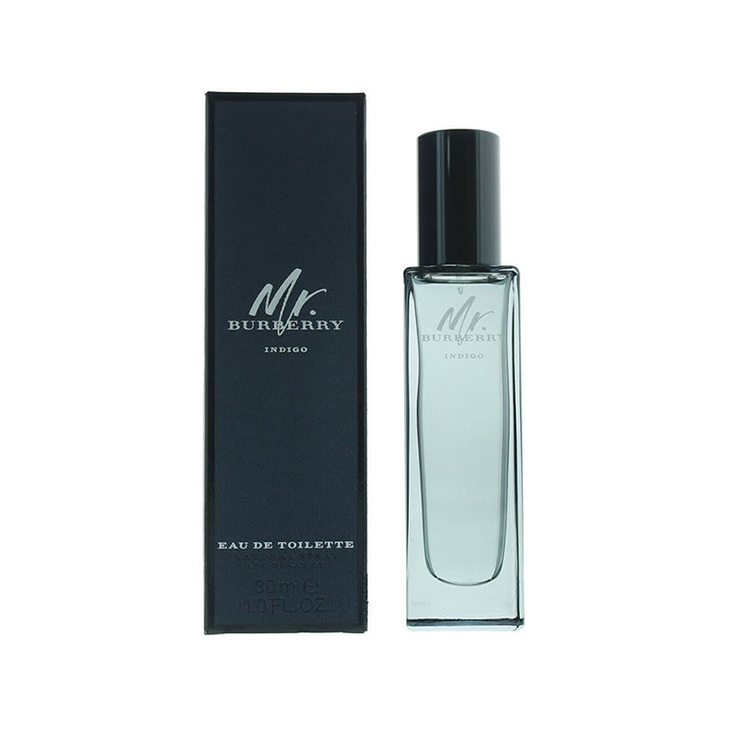 Mr burberry 2024 indigo parfum