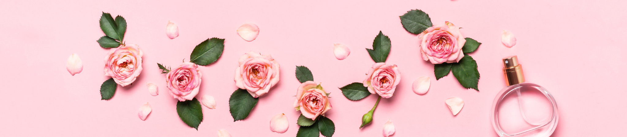 250px_4499f235-f2bc-445b-a5ae-c69cc0def4f2.png